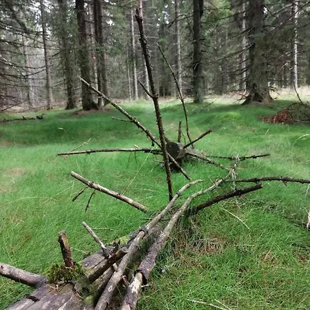 Zlaty Potok Nicov (Prachatice)