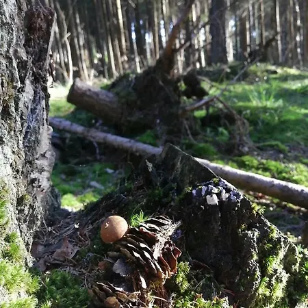 Zlaty Potok 3* Nicov (Prachatice)