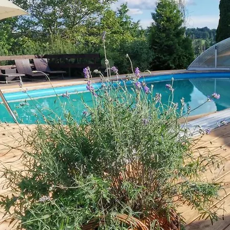 Zlatý Potok Hotel Nicov (Prachatice)
