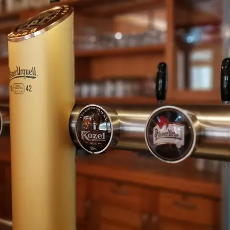 Zlaty Potok 3* Nicov (Prachatice)