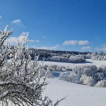 Ξενοδοχείο Zlaty Potok Nicov (Prachatice)