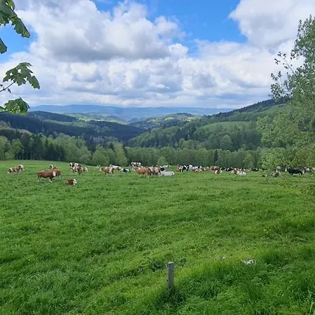 Zlaty Potok Hotel 3*