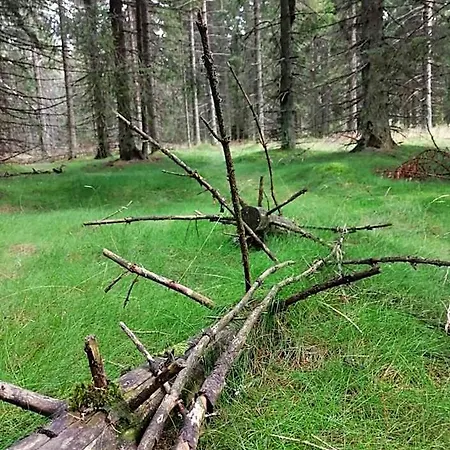 Zlaty Potok 3* Nicov (Prachatice)