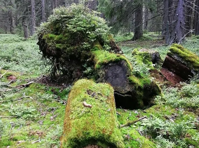 Zlaty Potok Отель Nicov (Prachatice)