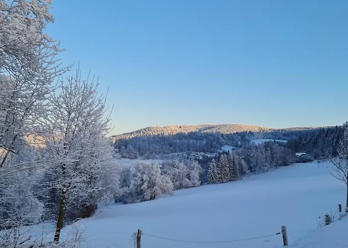 Отель Zlaty Potok 3*