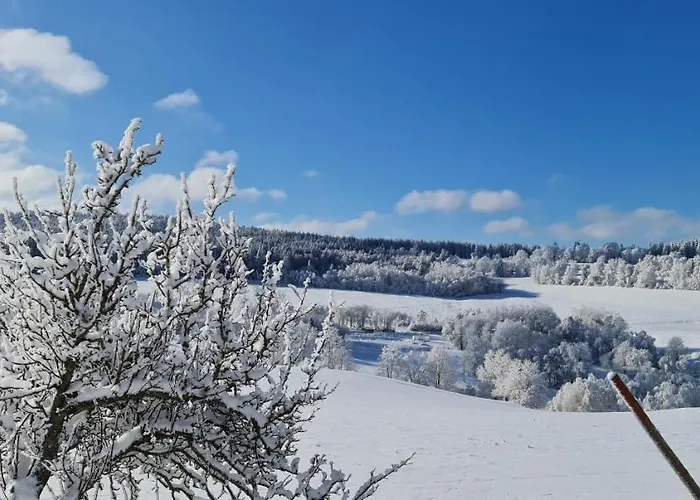 Отель Zlaty Potok Nicov (Prachatice)