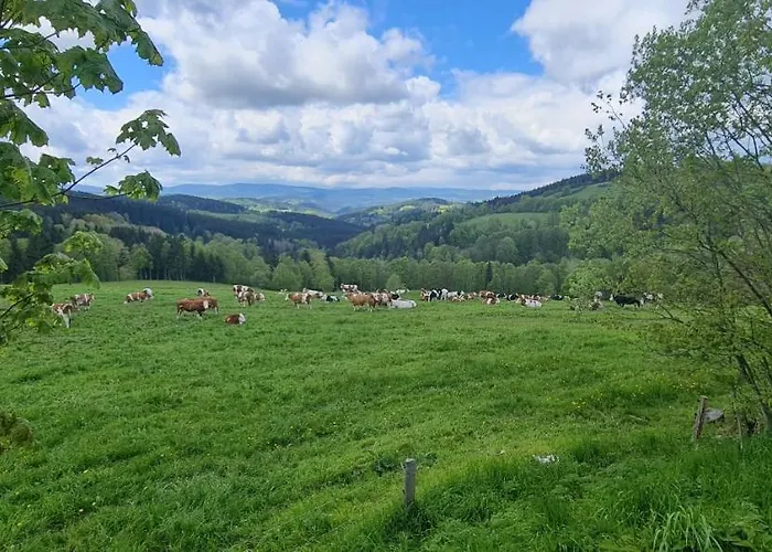 Zlaty Potok Отель 3*
